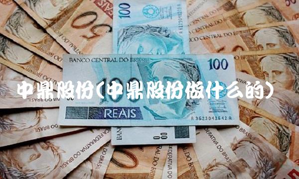 中鼎股份(中鼎股份做什么的)