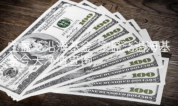 宝盈泛沿海基金 宝盈泛沿海基金今天净值查询