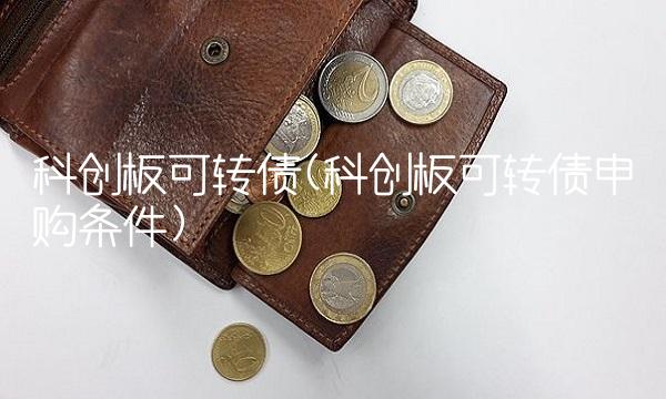 科创板可转债(科创板可转债申购条件)