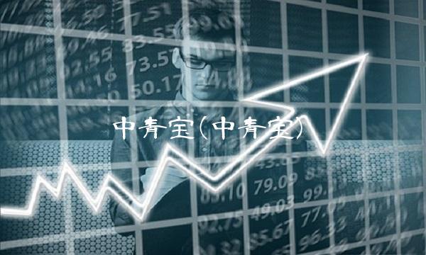 中青宝(中青宝)