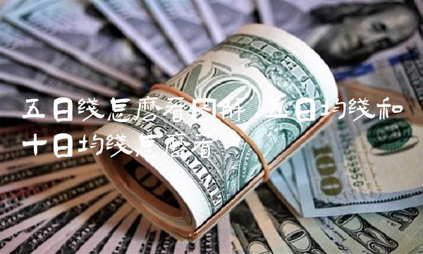五日线怎么看图解 五日均线和十日均线怎么看