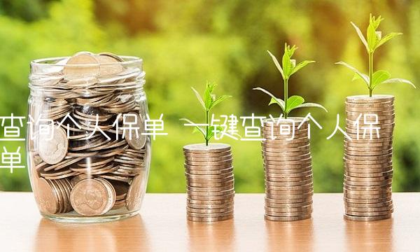 查询个人保单 一键查询个人保单