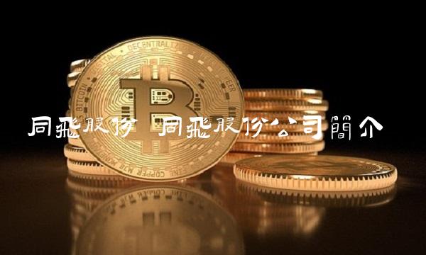 同飞股份 同飞股份公司简介