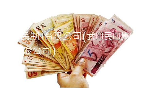 武汉爱民制药有限公司(武汉爱民药业集团股份有限公司)