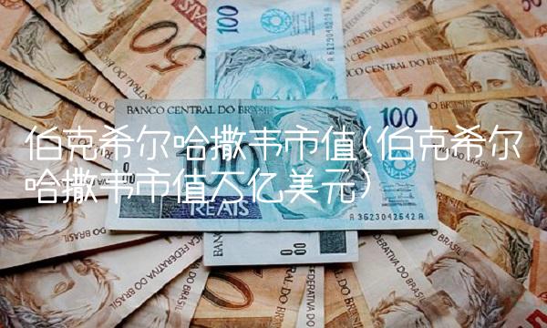伯克希尔哈撒韦市值(伯克希尔哈撒韦市值万亿美元)