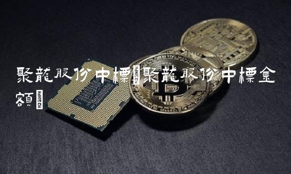 聚龙股份中标(聚龙股份中标金额)