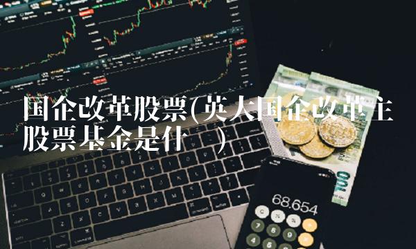 国企改革股票(英大国企改革主题股票基金是什么)