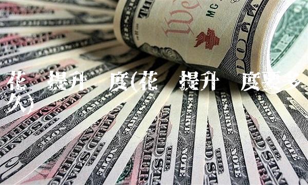 花呗提升额度(花呗提升额度要多久)