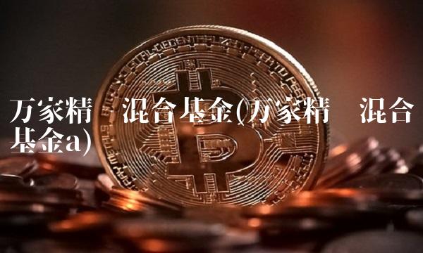 万家精选混合基金(万家精选混合基金a)