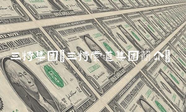 三特集团(三特索道集团简介)
