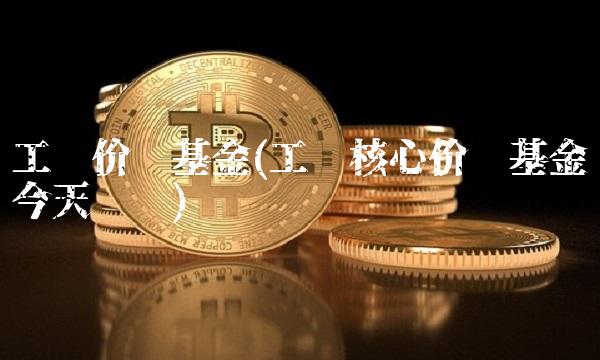 工银价值基金(工银核心价值基金今天净值)