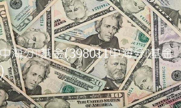 中海分红基金(398011中海分红基金)