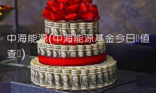 中海能源(中海能源基金今日净值查询)