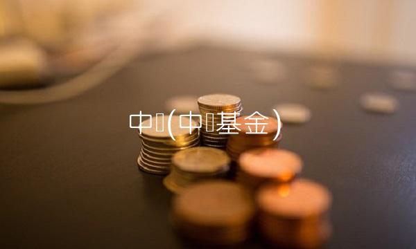 中欧(中欧基金)