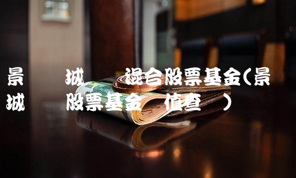 景顺长城优选混合股票基金(景顺长城优选股票基金净值查询)