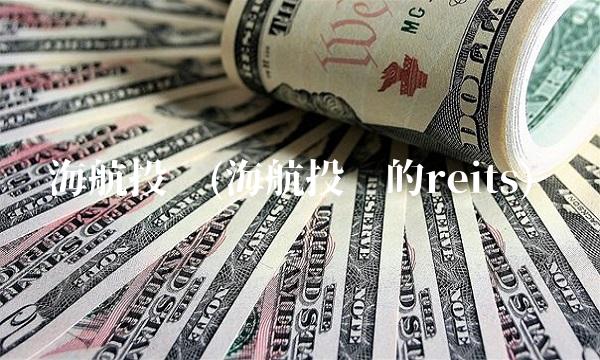 海航投资(海航投资的reits)