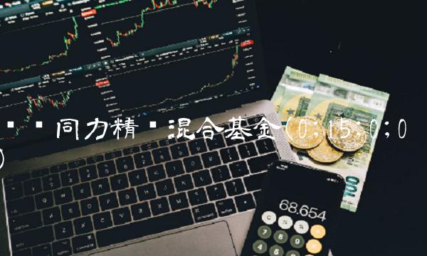 银华同力精选混合基金(0;15;0;0)