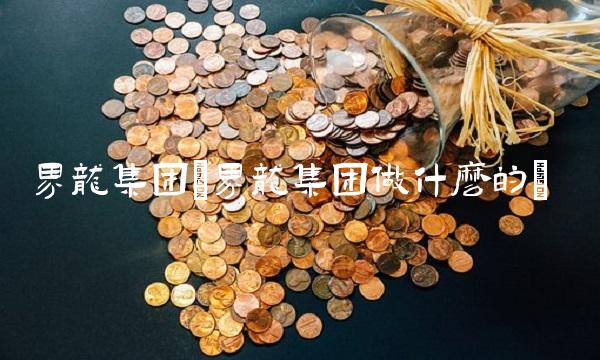 界龙集团(界龙集团做什么的)