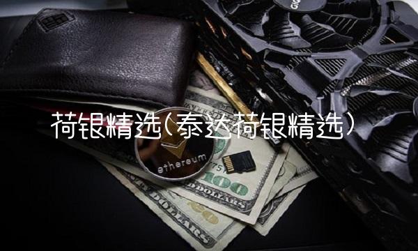 荷银精选(泰达荷银精选)
