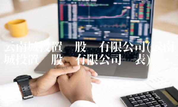 云南城投置业股份有限公司(云南城投置业股份有限公司报表)