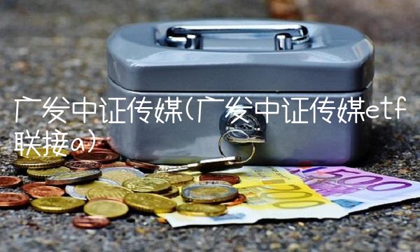 广发中证传媒(广发中证传媒etf联接a)