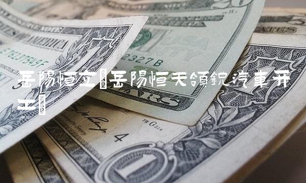 岳阳恒立(岳阳恒天领锐汽车开工)