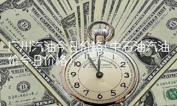 广州汽油今日价格(中石油汽油价今日价格)