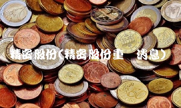 精密股份(精密股份重组消息)