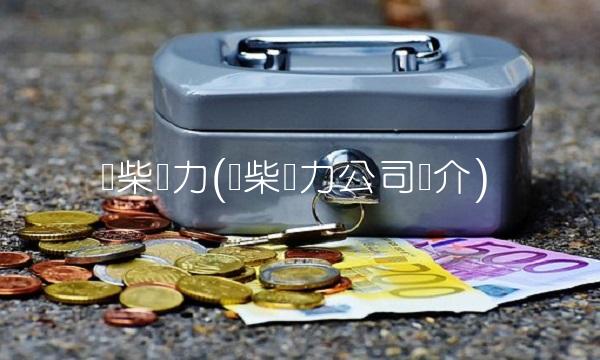 潍柴动力(潍柴动力公司简介)