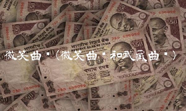 微笑曲线(微笑曲线和武藏曲线)