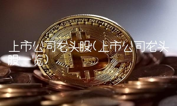 上市公司龙头股(上市公司龙头股一览)