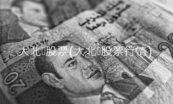 大北农股票(大北农股票行情)