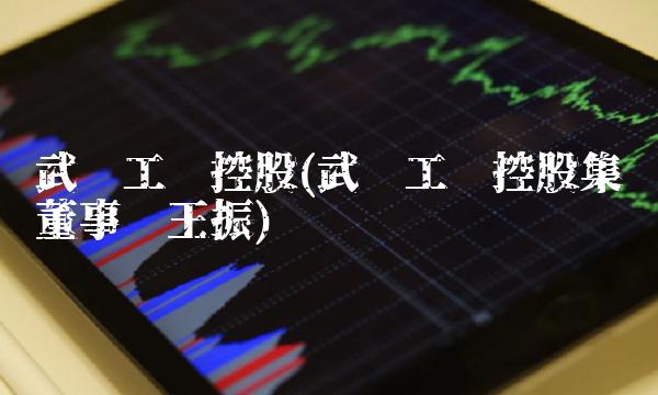 武汉工业控股(武汉工业控股集团董事长王振)