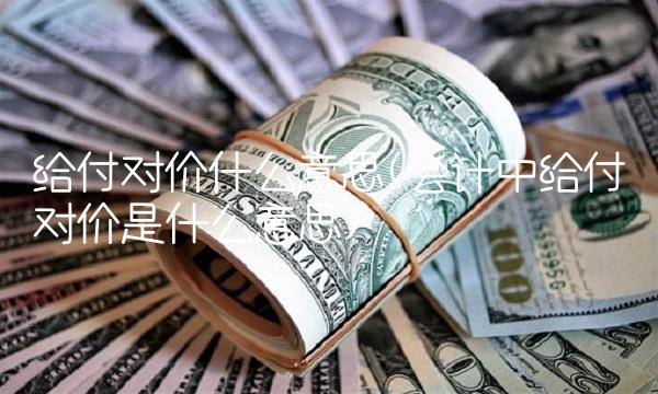 给付对价什么意思(会计中给付对价是什么意思)