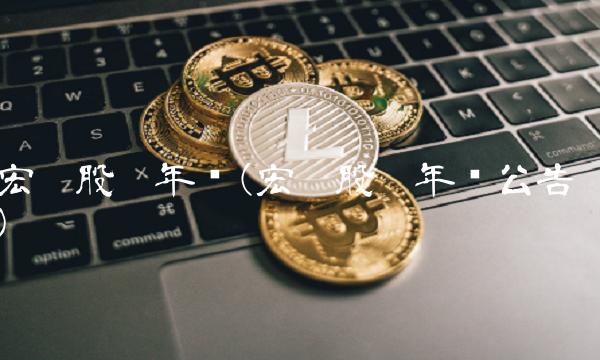 宏达股份年报(宏达股份年报公告)