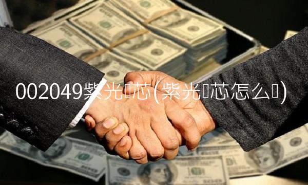 002049紫光国芯(紫光国芯怎么样)