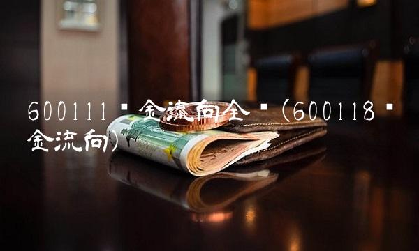600111资金流向全览(600118资金流向)