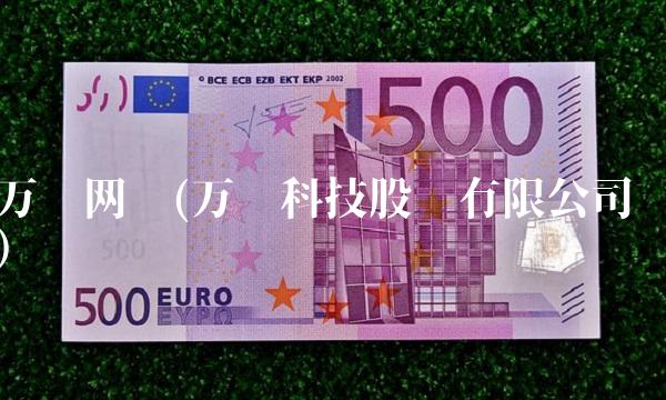 万胜网络(万胜科技股份有限公司)