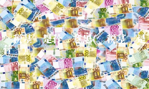 计税基础是什么意思(计税基础是什么)