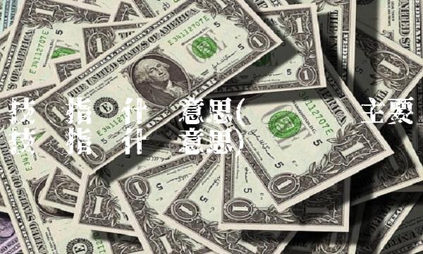 技术指标什么意思(**设计主要技术指标什么意思)