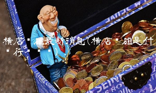 横店东磁**消息(横店东磁是什么行业龙头)