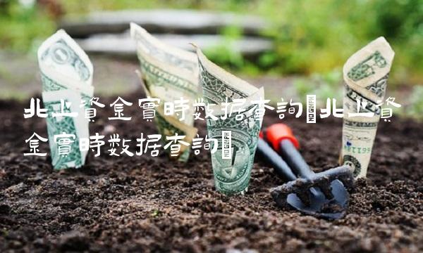 北上资金实时数据查询(北上资金实时数据查询) 北上资金实时数据查询(北上资金实时数据查询)