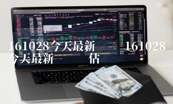 161028今天**净值 161028今天**净值预估查询