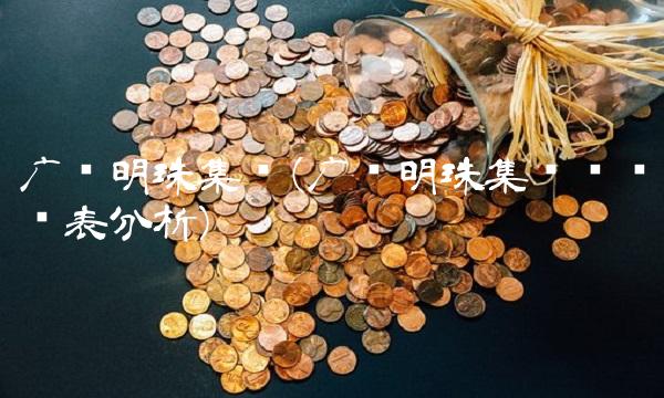 广东明珠集团(广东明珠集团财务报表分析)
