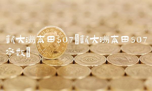 新大洲本田s07(新大洲本田s07参数)