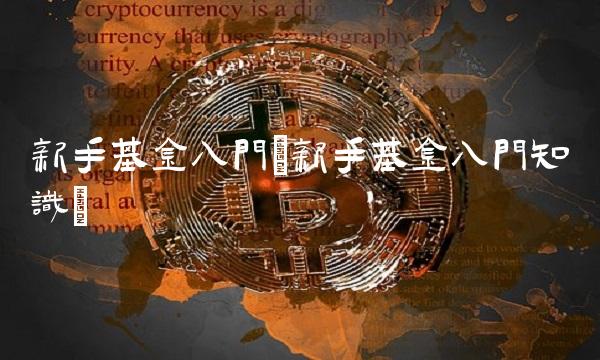 新手基金入门(新手基金入门知识)