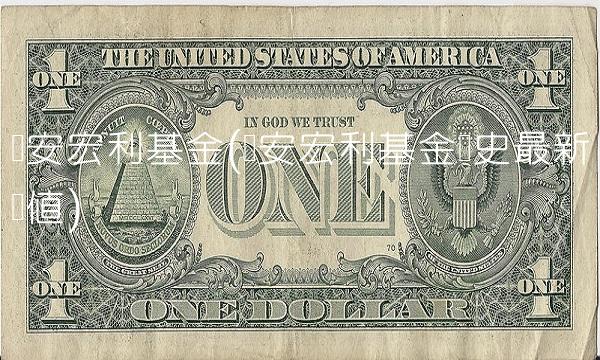 华安宏利基金(华安宏利基金历史**净值)