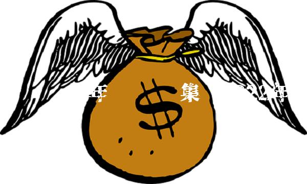 圣农发展年报 圣农集团2022年报