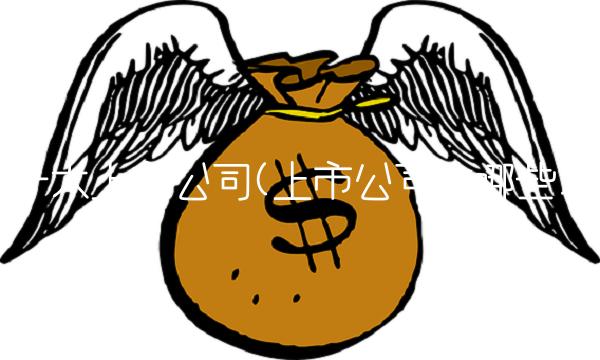 十大上市公司(上市公司有哪些)