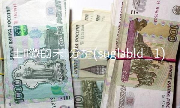 士兰微的未来分析(suglabId_1)